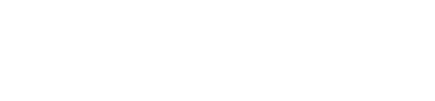 WP TRANS